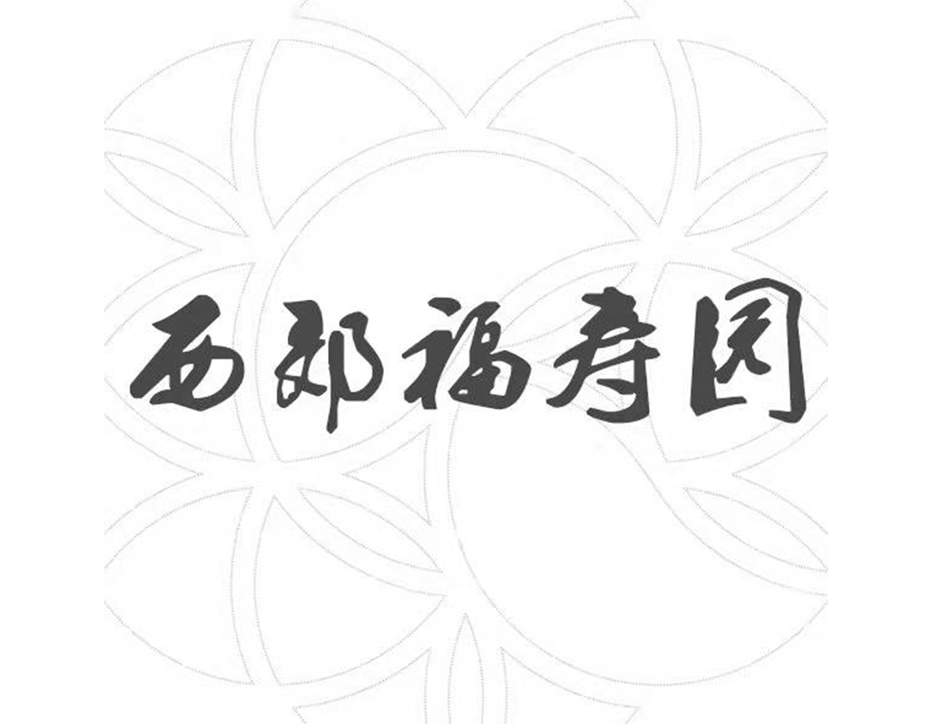 亚游集团·ag8(中国)官网 -只為非同凡享